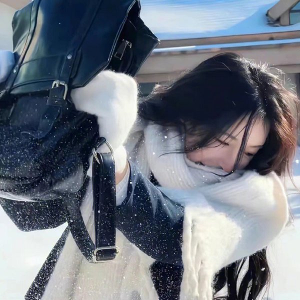 大灰熊海报