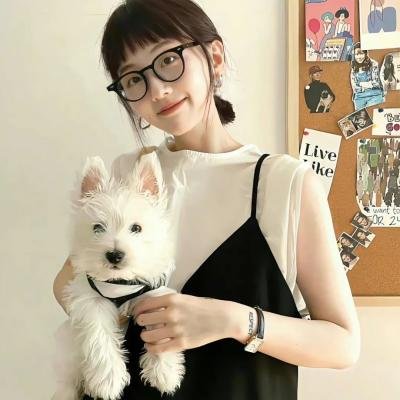 叶问4海报